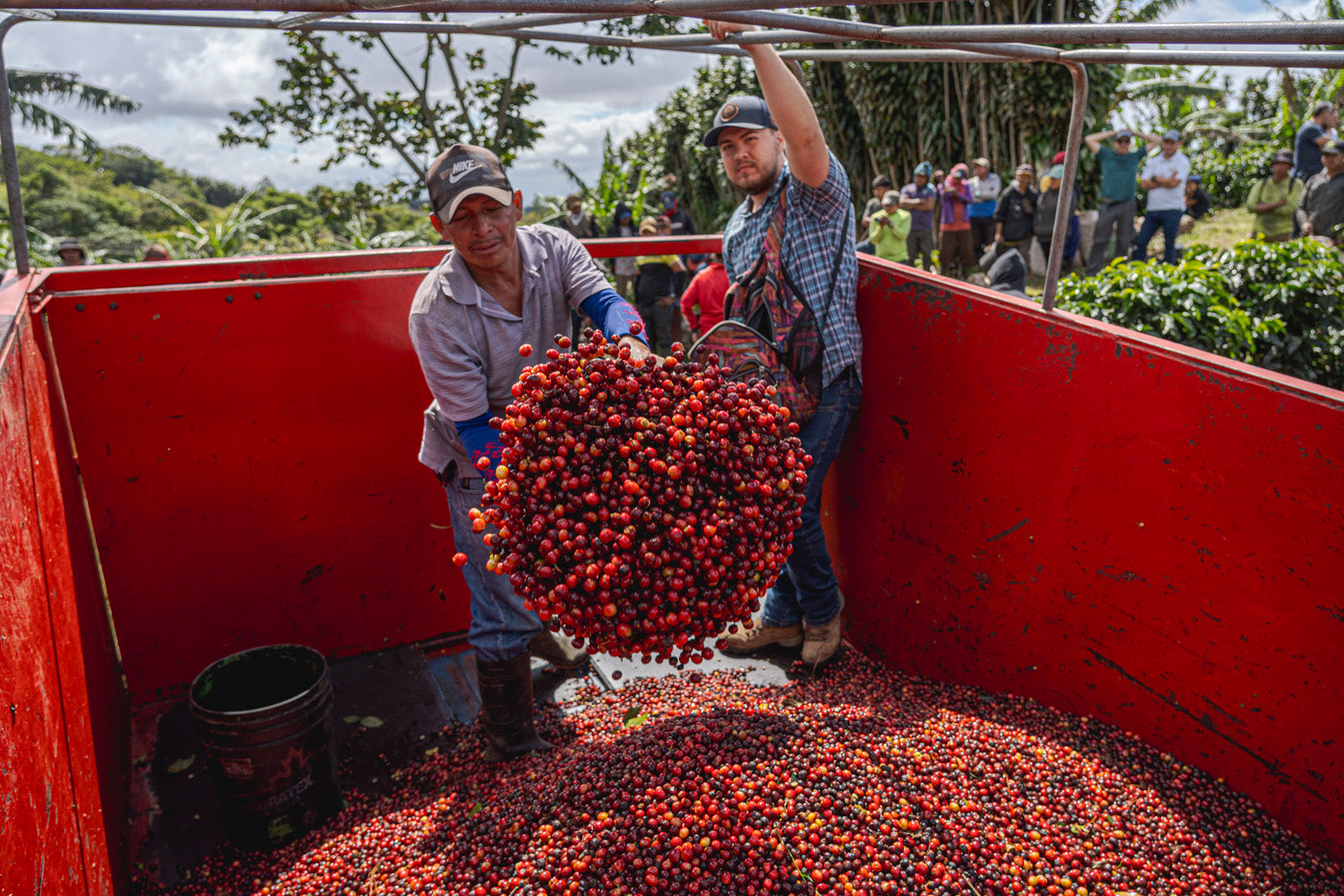 Café Rica’s Black Honey - Honey Processed Costa Rica 340g