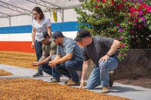Café Rica’s Black Honey - Honey Processed Costa Rica 340g